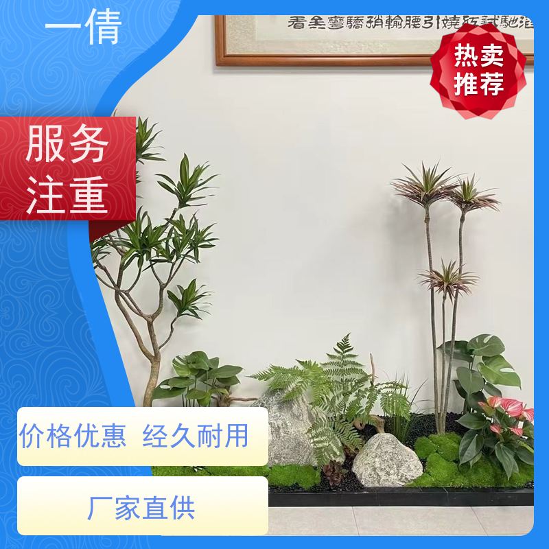 一倩花卉 深圳 银斑葛 绿植租赁 种类繁多 规格齐全