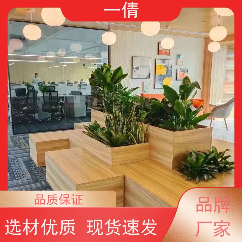 一倩花卉 办公室 青叶铁 绿植租赁 全城配送 上门养护