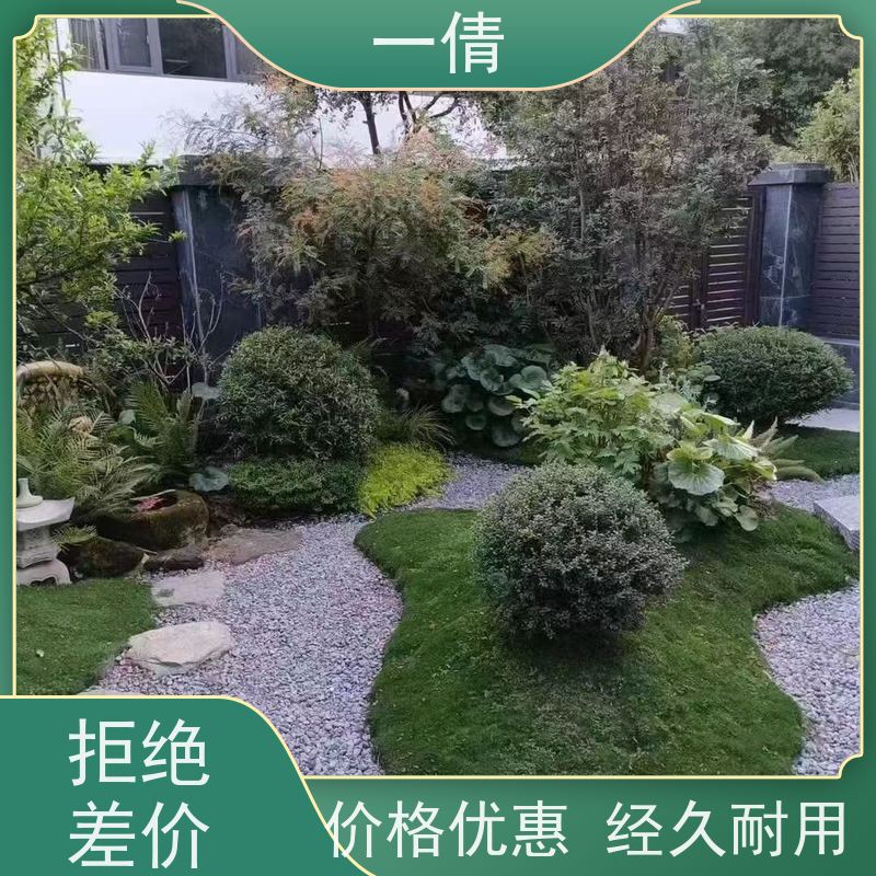 一倩花卉 深圳 爱心榕 花卉租赁 全城配送 上门养护