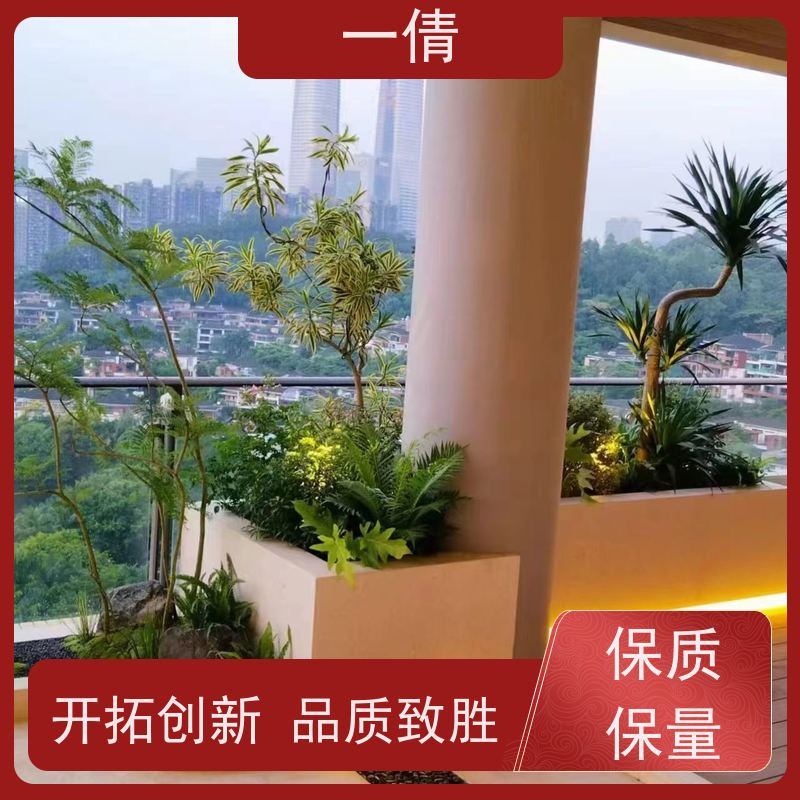 一倩花卉 办公室 红玉珠 开业花篮租赁 全城配送 上门养护