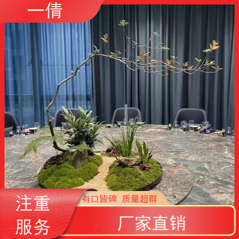 一倩花卉 办公室 富贵竹 绿植租赁 全城配送 上门养护