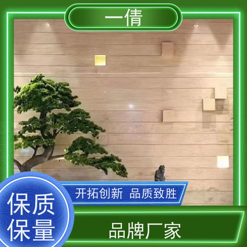 一倩花卉 深圳 棕竹 绿植出售 桌面绿植 花木护理