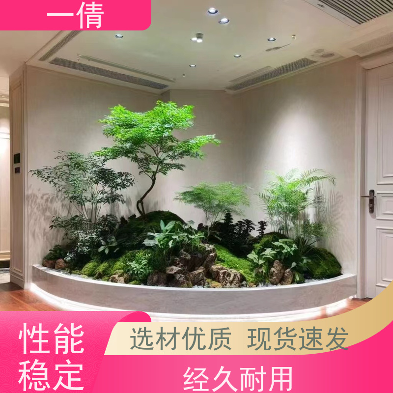 一倩花卉 室内 百合竹 绿植租摆 全城配送 上门养护