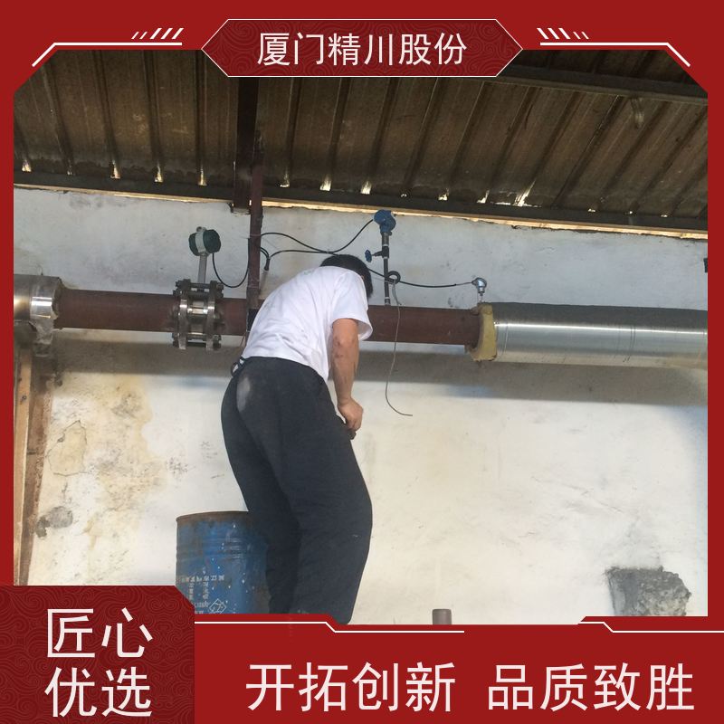 精川股份 食品厂 蒸汽流量计 工作时间长 真实应用案例多