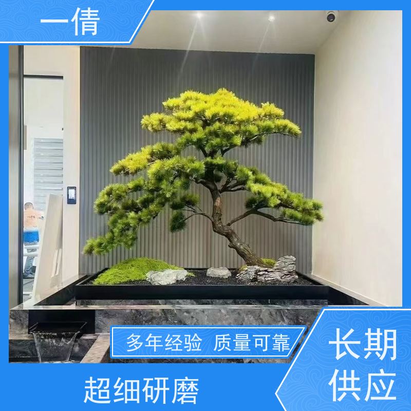 一倩花卉 前台 柠檬树 开业花篮租赁 种类繁多 规格齐全