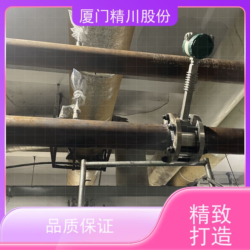 精川股份 PU皮革厂 导热油热量表 耐高温400度 现场案例多