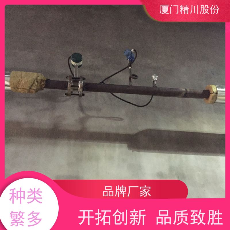 精川股份 包装厂 压缩空气流量计 测量精度高 维护量少