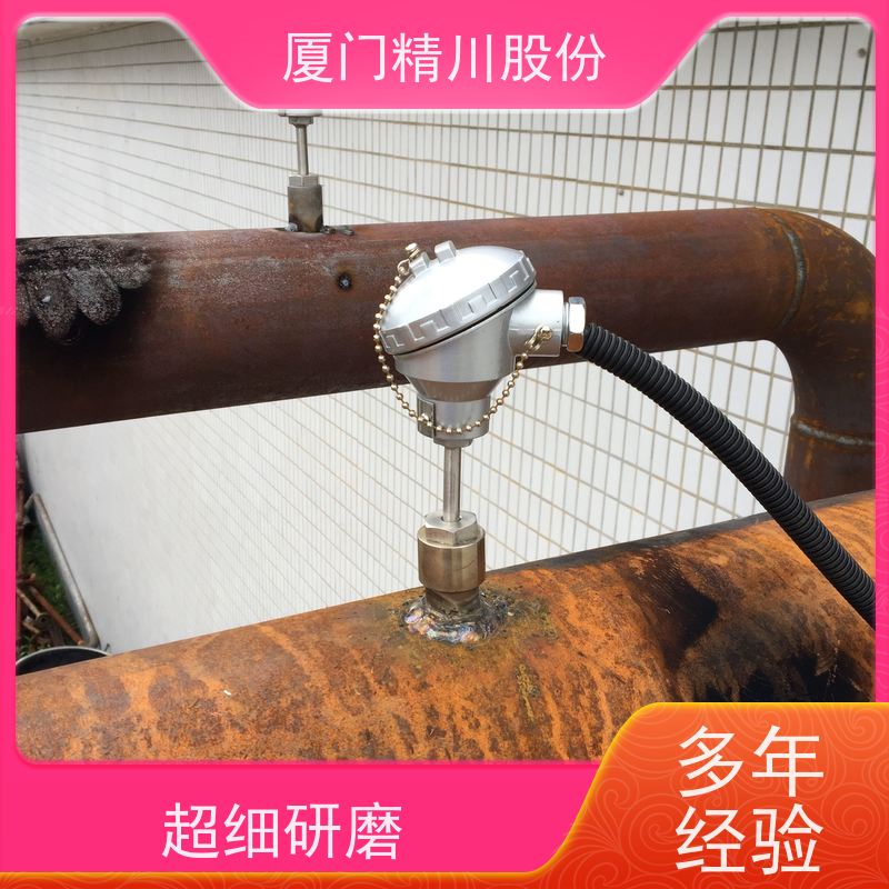 精川股份 鞋材厂 导热油热能表 耐高温400度 品质可靠