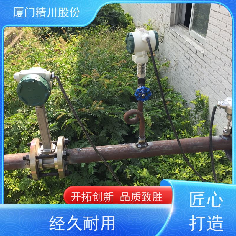 精川股份 电镀厂 过热蒸汽流量计 一体式温压补偿 服务量少