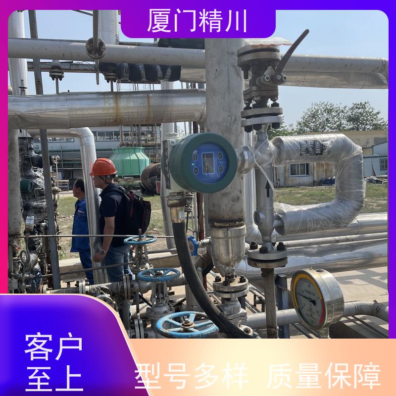 精川股份 制药厂液体质量流量计 精度0.2级 更放心