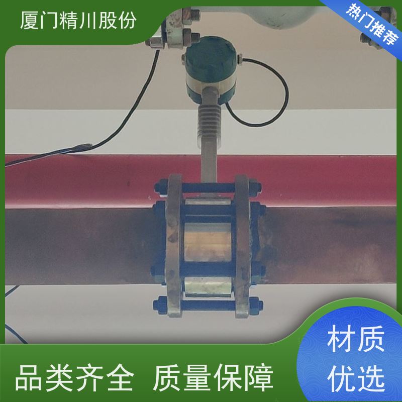精川股份 制革厂 导热油炉流量计 精度高 单位可选