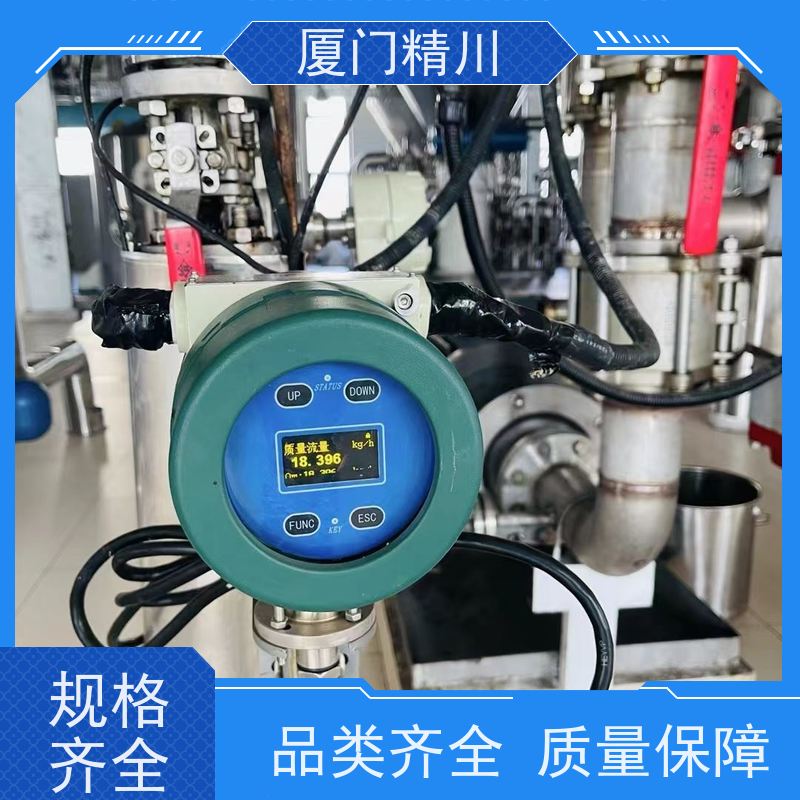精川 制药设备小口径质量流量计 连接方式支持定制 有保障