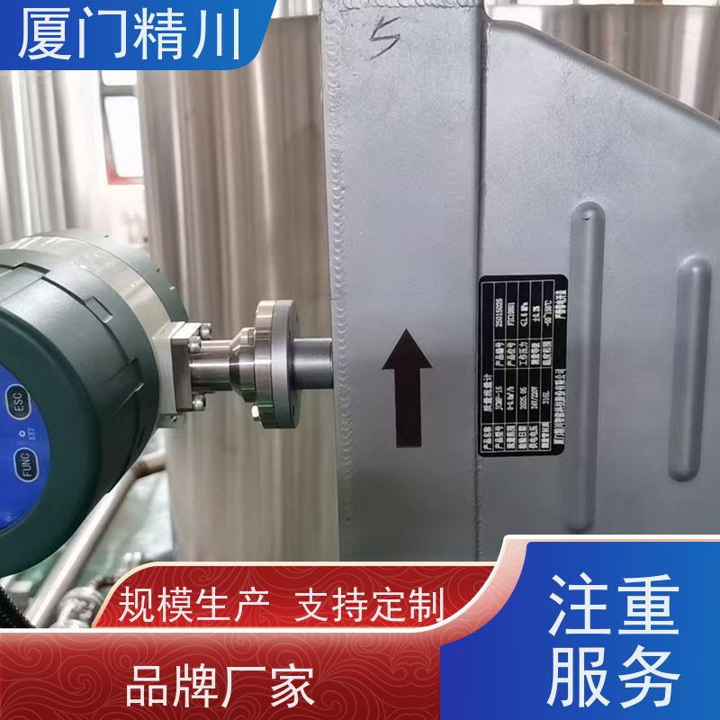 精川股份 制药厂气体质量流量计 支持定制 有保障