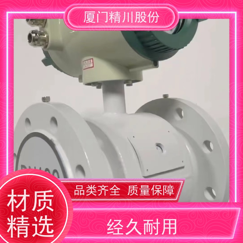 精川污水处理PAM加注流量计带接地环经久耐用