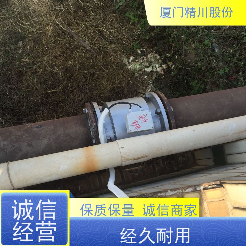 精川股份水质净化药液流量计一对一检测经久耐用