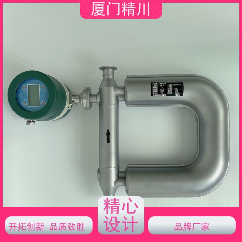 精川股份 制药设备液体质量流量计 支持定制 更放心