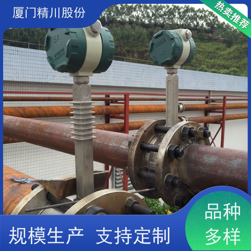 精川股份 制革厂 导热油炉流量计 出厂都会设置好 现场案例多