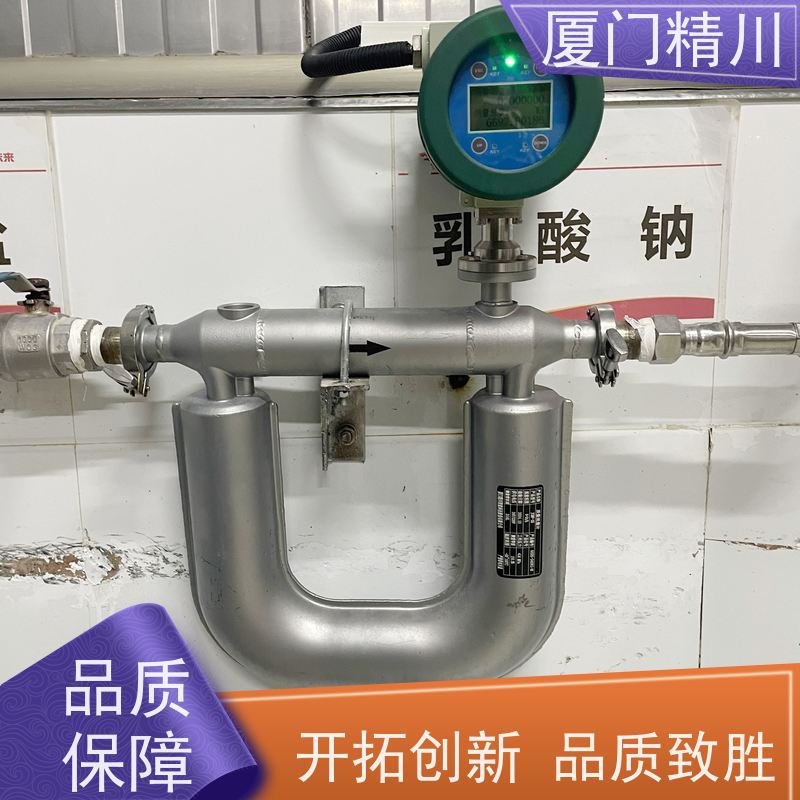 精川股份 制药厂质量流量计 连接方式支持定制 省心