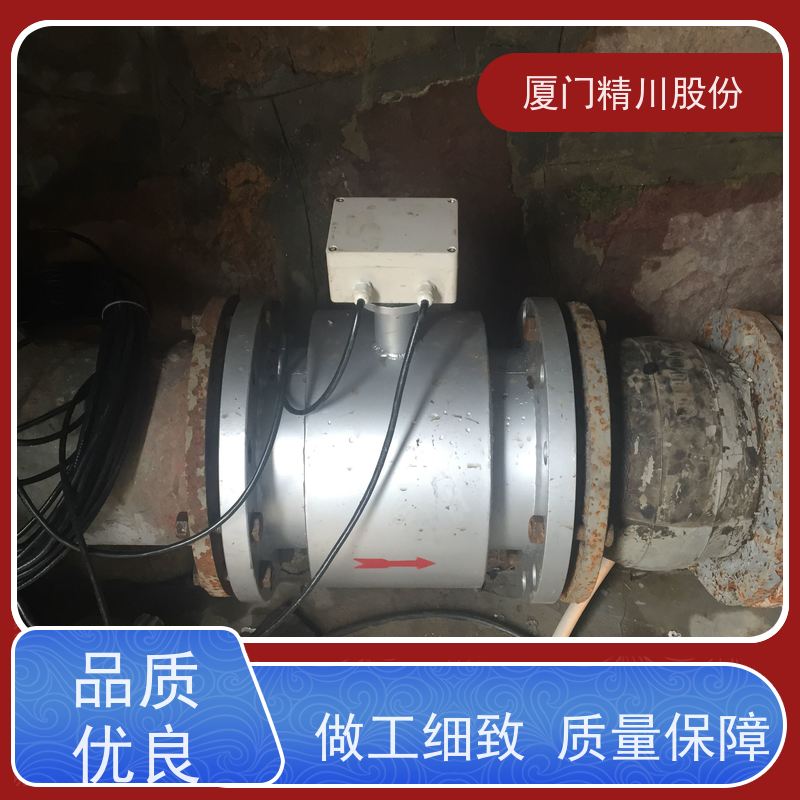精川股份印染厂电磁污水流量计带接地环保证精度