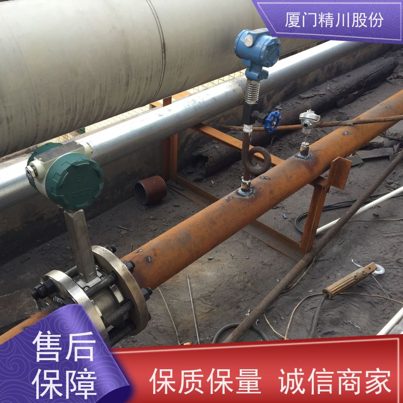 精川股份染整厂二氧化碳流量计抗震性能好应用广泛