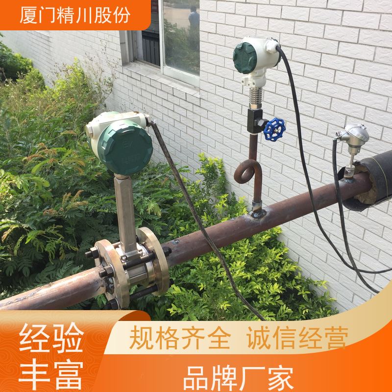 精川股份 染整厂 气体涡街流量计 测量精度高 源头生产厂家
