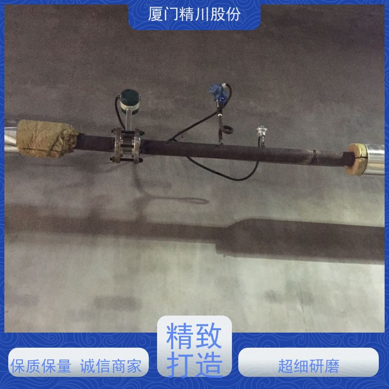 精川股份造纸厂二氧化碳流量计抗震性能好维护量少