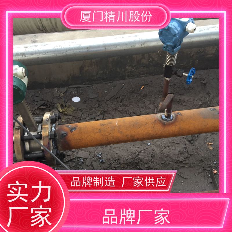 精川股份人造革厂二氧化碳流量计分体式温压补偿支持免费选型
