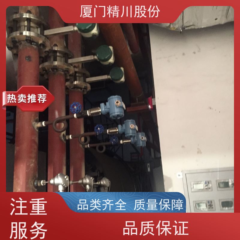 精川股份制药厂空气流量计测量精度高源头生产厂家