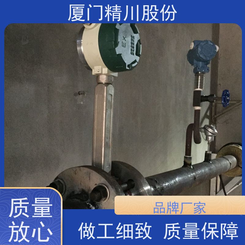 精川股份造纸厂二氧化碳流量计分体式温压补偿应用广泛