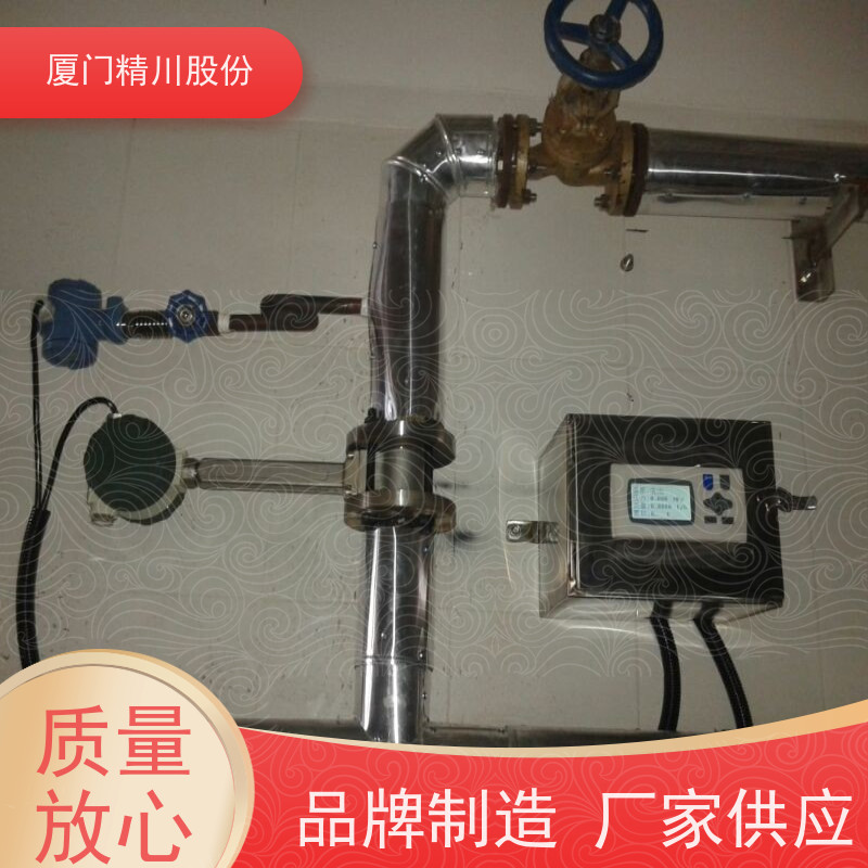 精川股份造纸厂气体流量计抗震性能好真实应用案例多