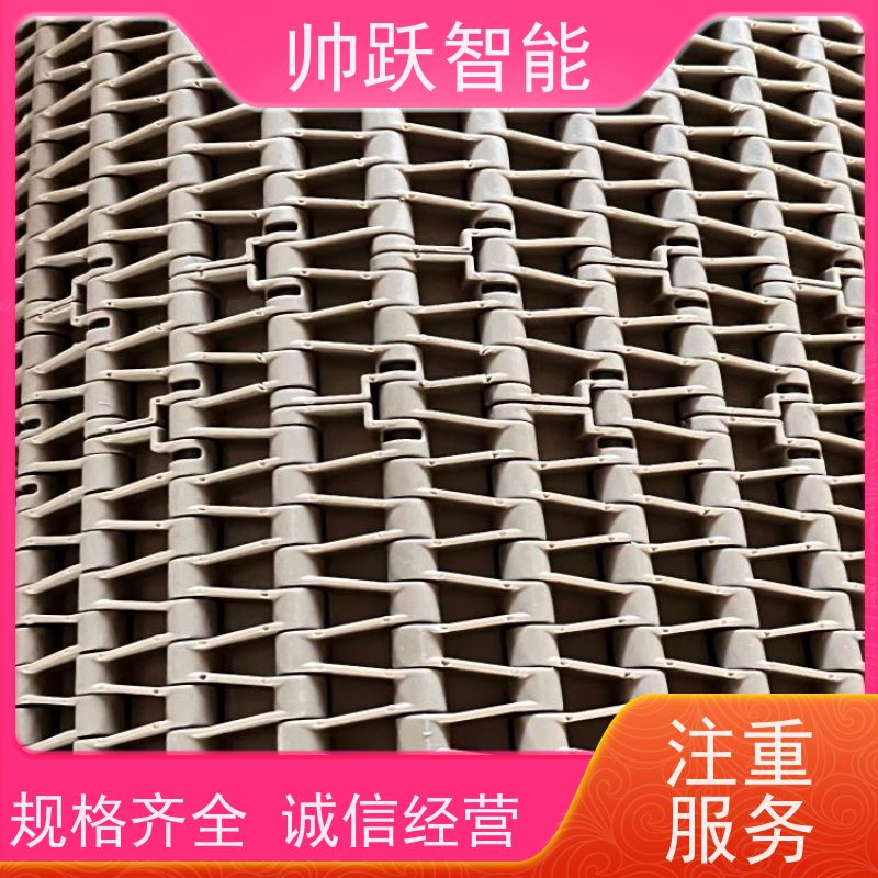 帅跃智能 纸张印刷流水线 瓶盖塑料链板 品质可靠 按图定制