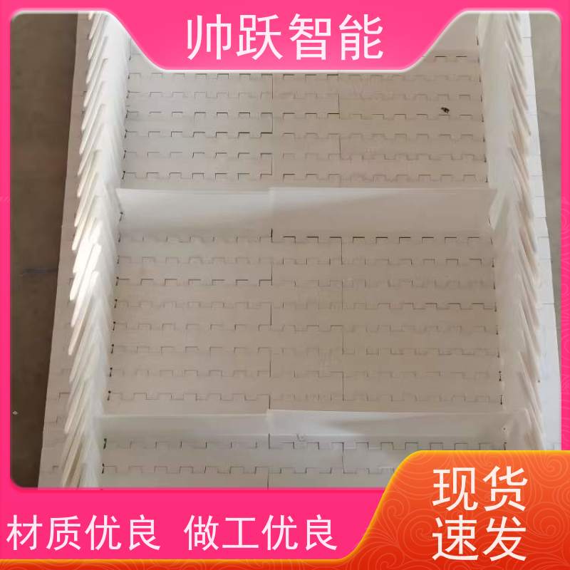 帅跃智能 果蔬清洗输送带 瓦楞纸箱塑料链板 摩擦系数小