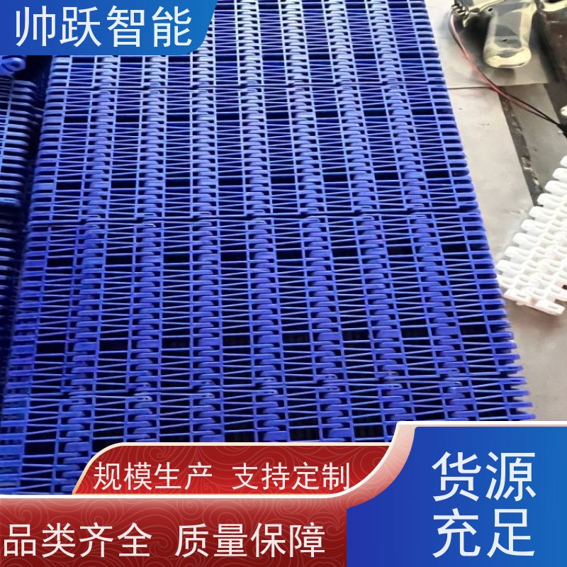 帅跃智能 快递分拣流水线 转弯机塑料链板 品质可靠 按图定制