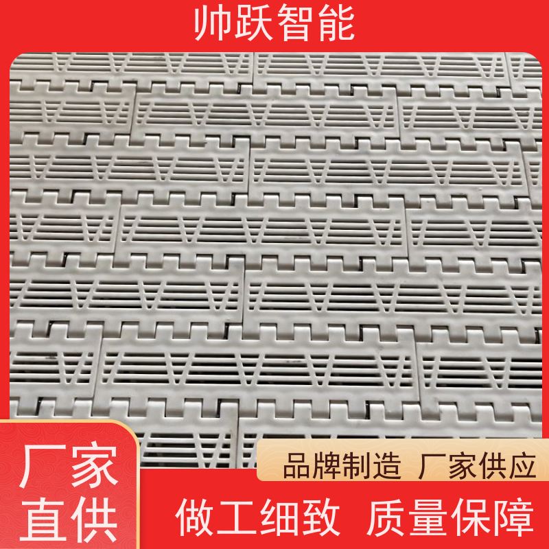 帅跃智能 养殖场输送带 POM塑料链板 适用于工业行业