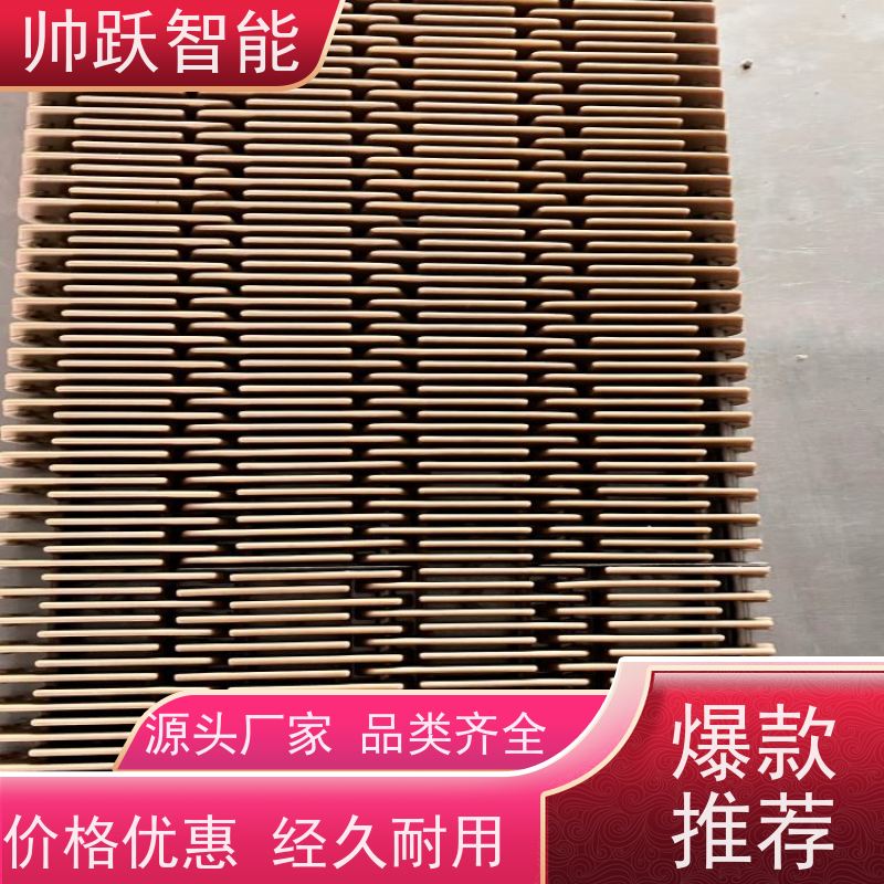 帅跃智能 洗碗机输送带 肉类屠宰塑料链板 支持加工定制