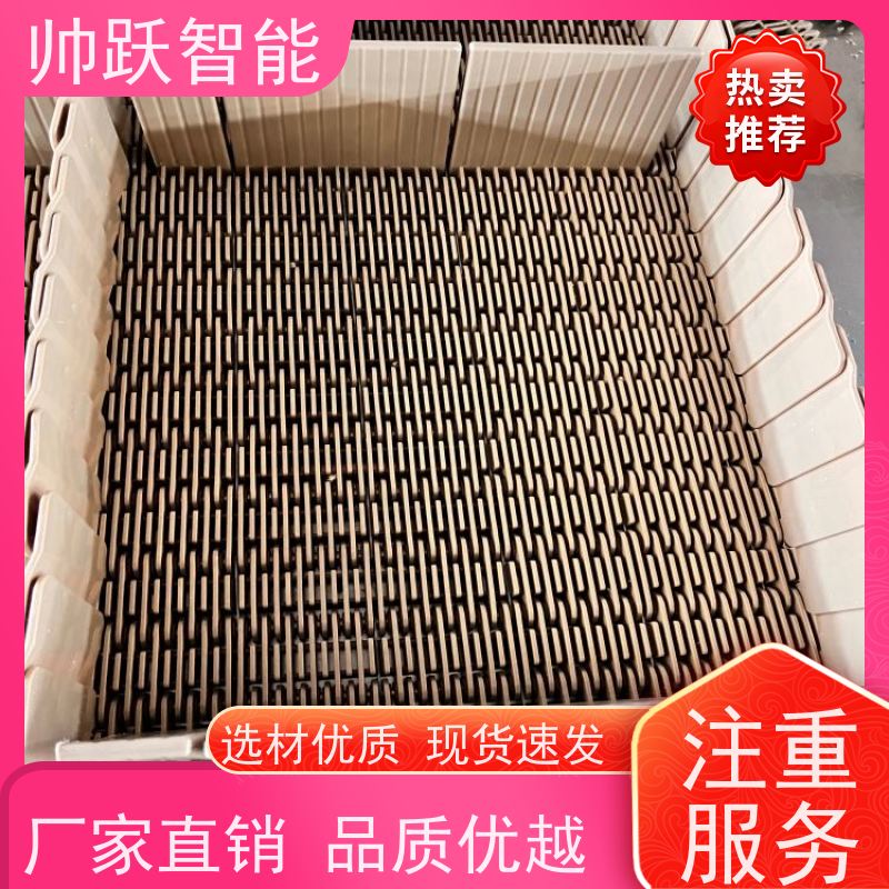 帅跃智能 养殖场输送带 水产分拣塑料链板 摩擦系数小