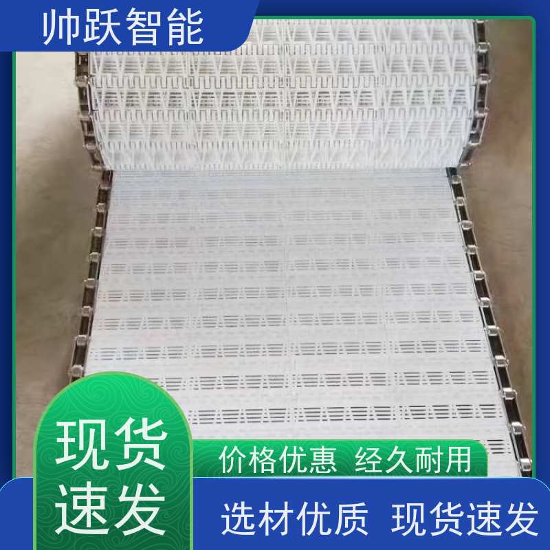帅跃智能 果蔬清洗输送带 瓦楞纸箱塑料链板 支持加工定制