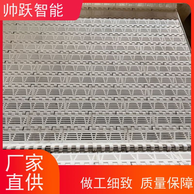 帅跃智能 巴氏消毒输送带 瓦楞纸箱塑料链板 品质可靠 按图定制