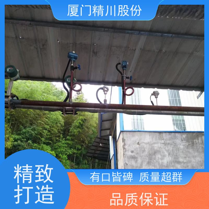 精川股份造纸厂气体流量计分体式温压补偿应用广泛