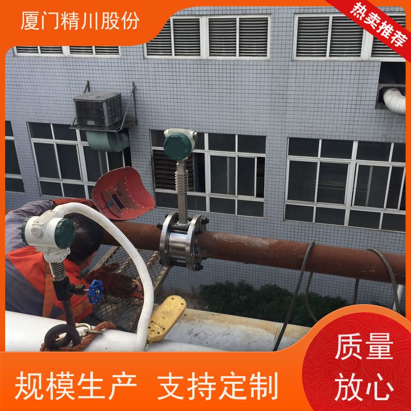 精川股份 制革厂 导热油涡街流量计 抗震性能好 支持免费选型