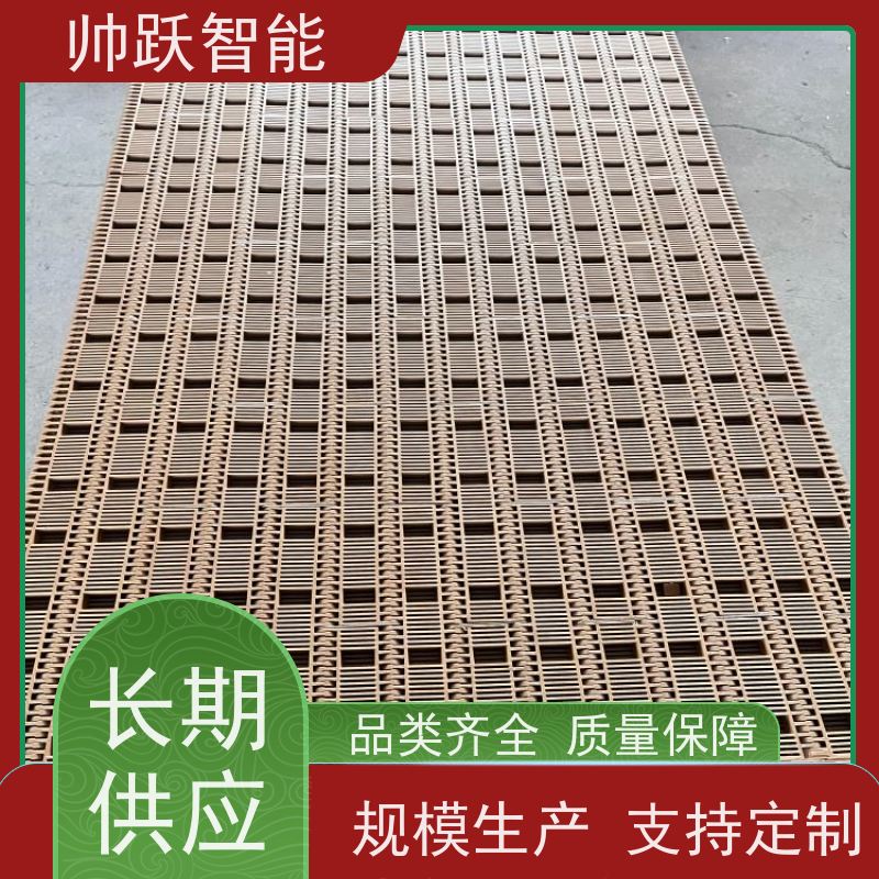 帅跃智能 粮食加工提升输送带 水产分拣塑料链板 摩擦系数小