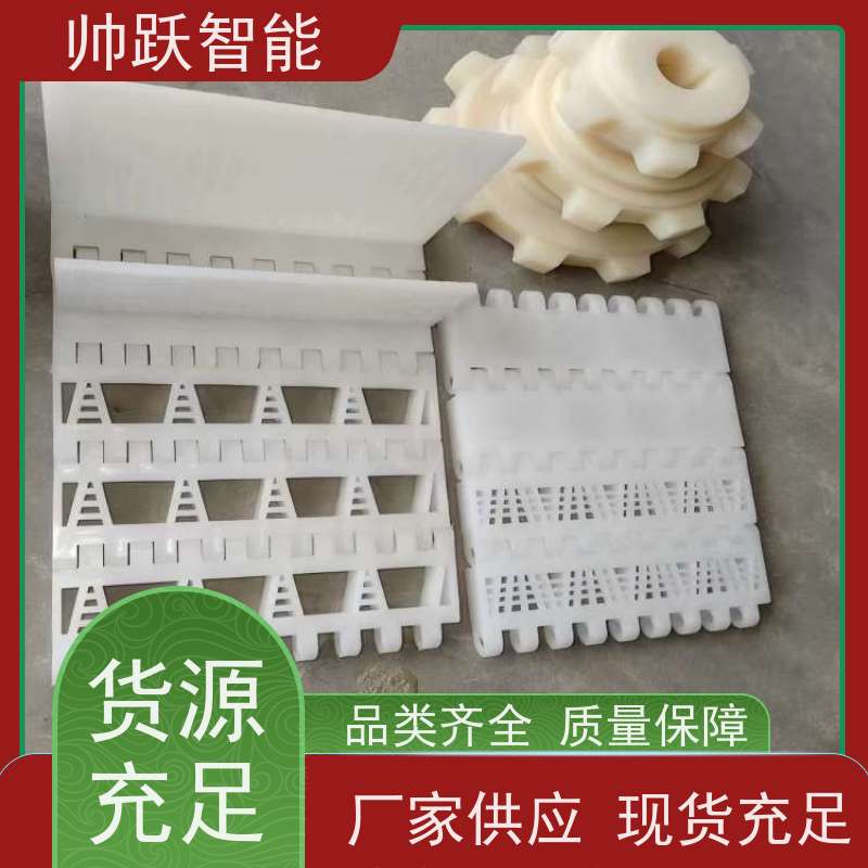 帅跃智能 pp耐高温输送带 水产分拣塑料链板 品质可靠 按图定制