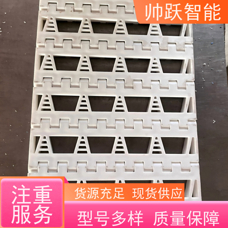 帅跃智能 快递分拣流水线 肉类屠宰塑料链板 摩擦系数小