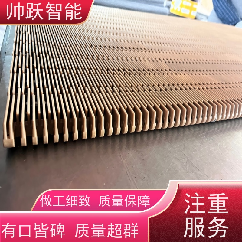 帅跃智能 果蔬清洗输送带 OPB圆孔塑料链板 摩擦系数小
