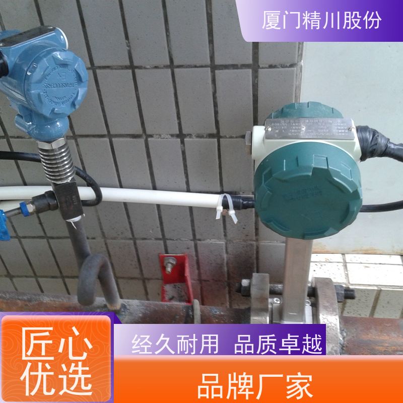 精川股份 胶带厂 气体涡街流量计 抗震性能好 真实应用案例多