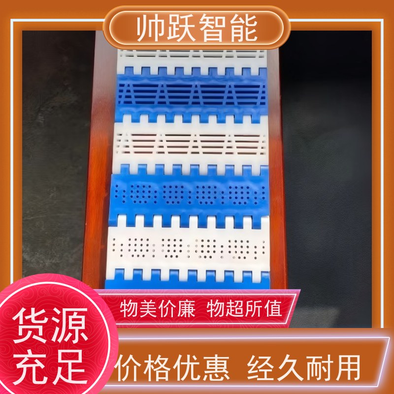 帅跃智能 巴氏消毒输送带 瓶盖塑料链板 摩擦系数小