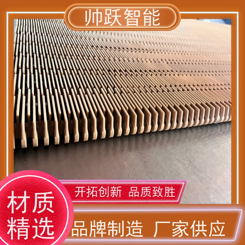 帅跃智能 塑料尼龙筛网过滤输送带 提盖机链板 品质可靠 按图定制