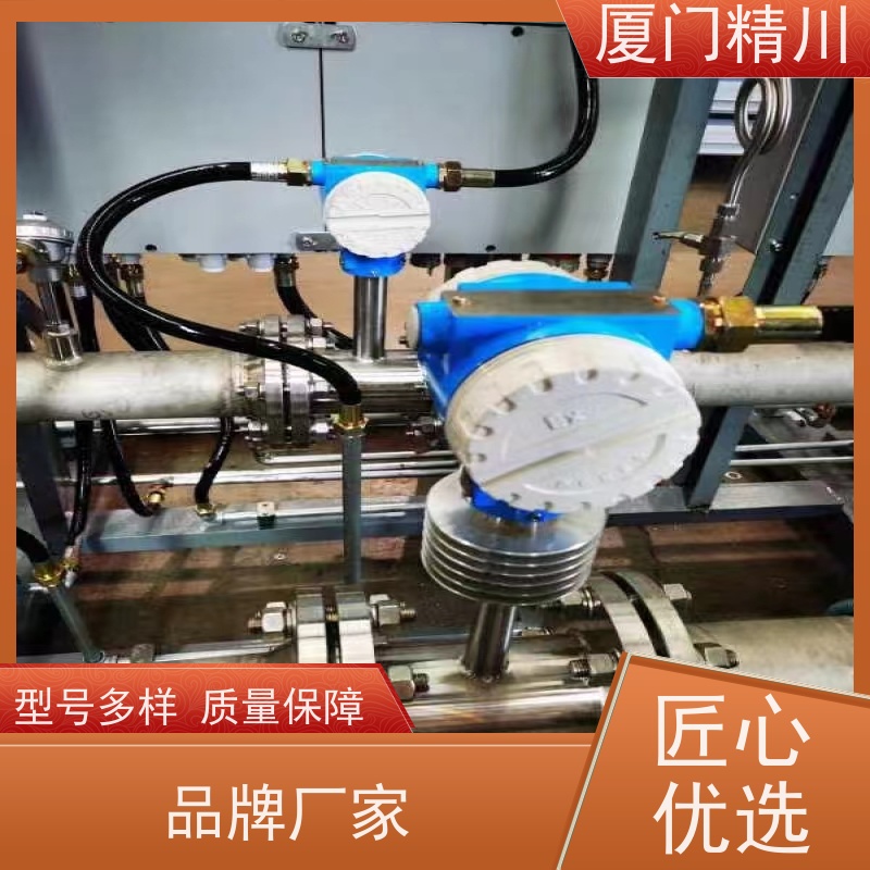 精川 发生炉煤气 在线可拆装靶式流量计 可测含杂质介质 性能稳定