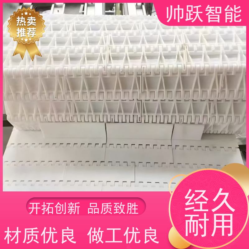 帅跃智能 快递分拣流水线 食品级塑料链板 摩擦系数小
