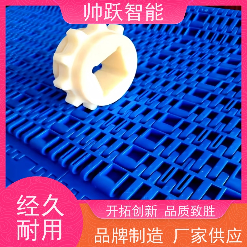 帅跃智能 pp耐高温输送带 水产分拣塑料链板 工业专用 运行稳定